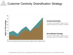 Customer centricity diversification strategy information technology strategy framework cpb