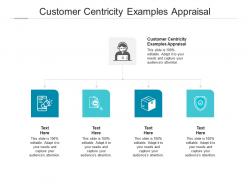 Customer centricity examples appraisal ppt powerpoint presentation portfolio good cpb