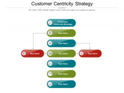 Customer centricity strategy ppt powerpoint presentation show infographics cpb