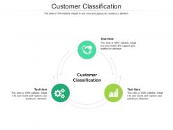 Customer classification ppt powerpoint presentation infographic template brochure cpb