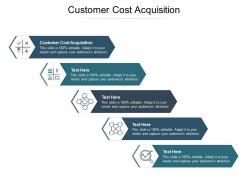 Customer cost acquisition ppt powerpoint presentation portfolio background image cpb