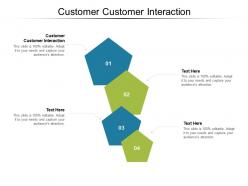 Customer customer interaction ppt powerpoint presentation icon guide cpb