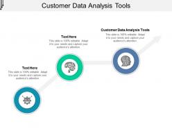 Customer data analysis tools ppt powerpoint presentation portfolio cpb