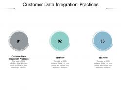 Customer data integration practices ppt powerpoint presentation portfolio gridlines cpb