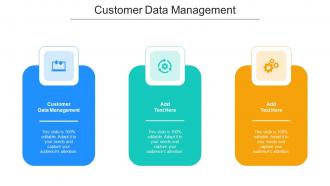 Customer Data Management In Powerpoint And Google Slides Cpb