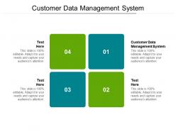 Customer data management system ppt powerpoint presentation picture cpb