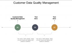Customer data quality management ppt powerpoint presentation styles styles cpb