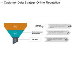 Customer data strategy online reputation management corporate diversification cpb