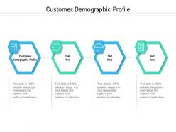 Customer demographic profile ppt powerpoint presentation infographic template diagrams cpb