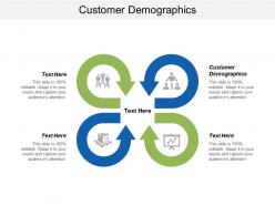 Customer demographics ppt powerpoint presentation summary example cpb