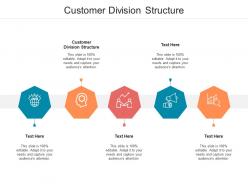 Customer division structure ppt powerpoint presentation ideas good cpb