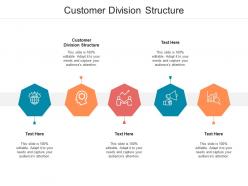 Customer division structure ppt powerpoint presentation professional sample cpb