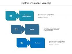 Customer driven examples ppt powerpoint presentation slides professional cpb