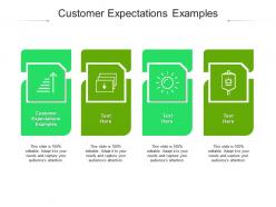 Customer expectations examples ppt powerpoint presentation summary graphics design cpb