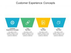 Customer experience concepts ppt powerpoint presentation icon format cpb