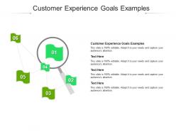 Customer experience goals examples ppt powerpoint presentation professional example topics cpb