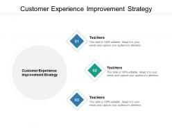 Customer experience improvement strategy ppt powerpoint presentation styles graphics tutorials cpb