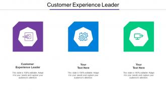 Customer Experience Leader Ppt Powerpoint Presentation Infographic Template Information Cpb