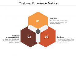 Customer experience metrics ppt powerpoint presentation file visual aids cpb