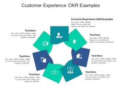 Customer experience okr examples ppt powerpoint presentation ideas example introduction cpb