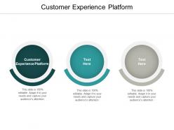 Customer experience platform ppt powerpoint presentation professional show cpb