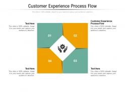 Customer experience process flow ppt powerpoint presentation graphics download cpb