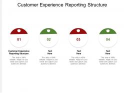 Customer experience reporting structure ppt powerpoint presentation model slides cpb