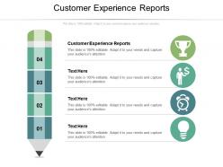 Customer experience reports ppt powerpoint presentation icon professional cpb