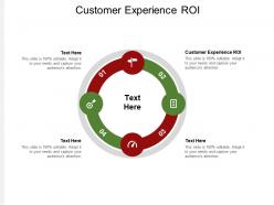 Customer experience roi ppt powerpoint presentation model show cpb