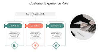 Customer Experience Role In Powerpoint And Google Slides Cpb