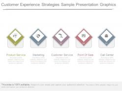 Customer experience strategies sample presentation graphics