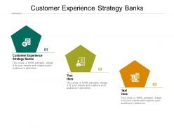 Customer experience strategy banks ppt powerpoint presentation example file cpb
