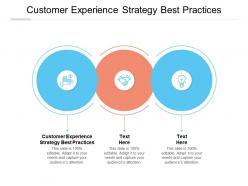 Customer experience strategy best practices ppt powerpoint presentation model design templates cpb