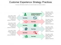 Customer experience strategy practices ppt powerpoint presentation icon cpb