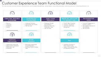 Customer experience team functional model