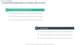 Customer Experience Team Structure In Powerpoint And Google Slides Cpb