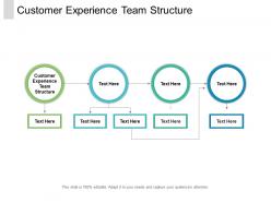 Customer experience team structure ppt powerpoint presentation layouts cpb
