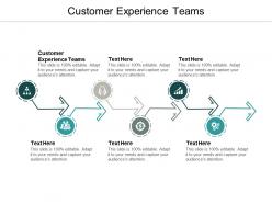 Customer experience teams ppt powerpoint presentation professional aids cpb