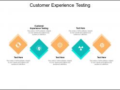 Customer experience testing ppt powerpoint presentation summary layout cpb