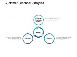 Customer feedback analytics ppt powerpoint presentation file graphic tips cpb