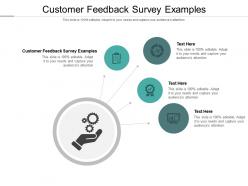 Customer feedback survey examples ppt powerpoint presentation professional show cpb