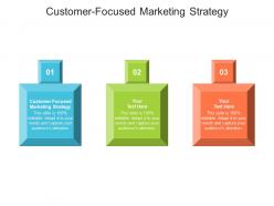 Customer focused marketing strategy ppt powerpoint presentation gallery elements cpb