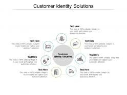 Customer identity solutions ppt powerpoint presentation gallery icon cpb