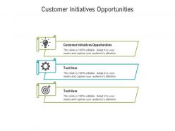 Customer initiatives opportunities ppt powerpoint presentation infographics portrait cpb