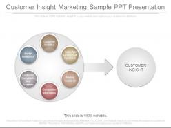Customer Insight Marketing Sample Ppt Presentation