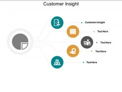 Customer insight ppt powerpoint presentation layouts skills cpb