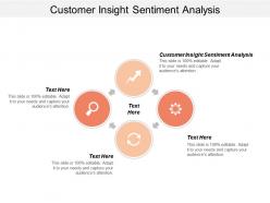 Customer insight sentiment analysis ppt powerpoint presentation file layout ideas cpb