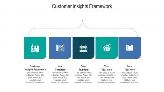 Customer insights framework ppt powerpoint presentation pictures themes cpb