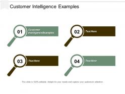 Customer intelligence examples ppt powerpoint presentation file vector cpb