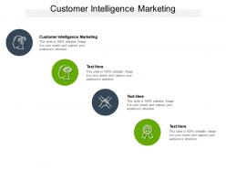 Customer intelligence marketing ppt powerpoint presentation show summary cpb